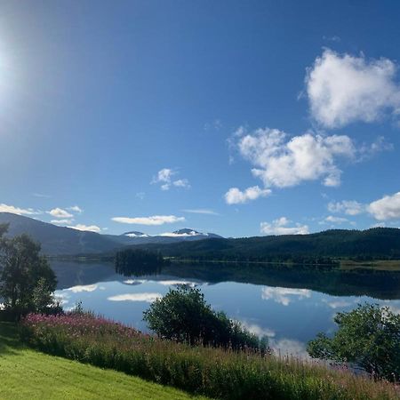 Aspnes Camping As Mosjoen Bagian luar foto